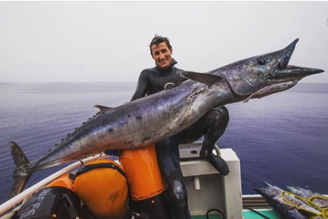 Have you seen this monster Wahoo Cameron Kirkconnell got spear fishing?! #Fishing #Adventure #FinandField #FishTale #Brag