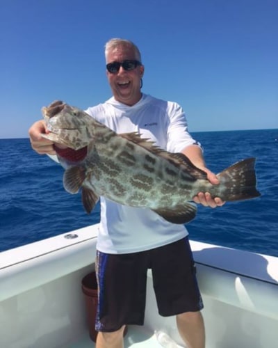 With Southpaw Fishing Key West (http://bit.ly/2nk7DSB) you get an award-winning Captain. With Brad Simonds you'll experience the finest deep sea fishing, kite fishing, and live bait fishing! #BookWithConfidence!
