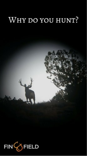 Why do you hunt? For many people hunting is a deeply personal activity, often rooted in family tradition. No matter why you hunt, GT Outfitters is the perfect choice for a Utah elk, mountain lion, bison, bear, deer, bighorn, or pronghorn hunt. Contact them for pricing and availability. 

http://bit.ly/2cIZuE2

Papa's Pilar | #PapaWouldBeProud | #AdventureSeries | #Hunting | #FinAndField | #PapaHemingway |