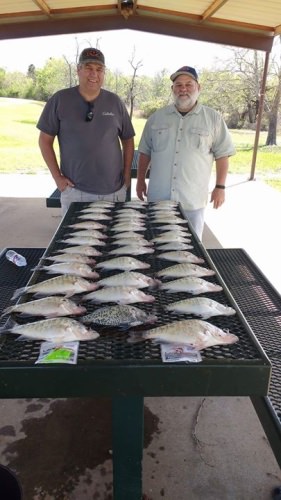 Decent day for the high winds we we're blessed with today on Lake Eufaula. Kevin and Bruce were more interested to find more places to fish on Lake Eufaula. So the trip was not all about numbers but more about knowledge of the lake.  We would catch a few and run to another spot. I think that is a great way to learn more about a lake. #lakeforktackle