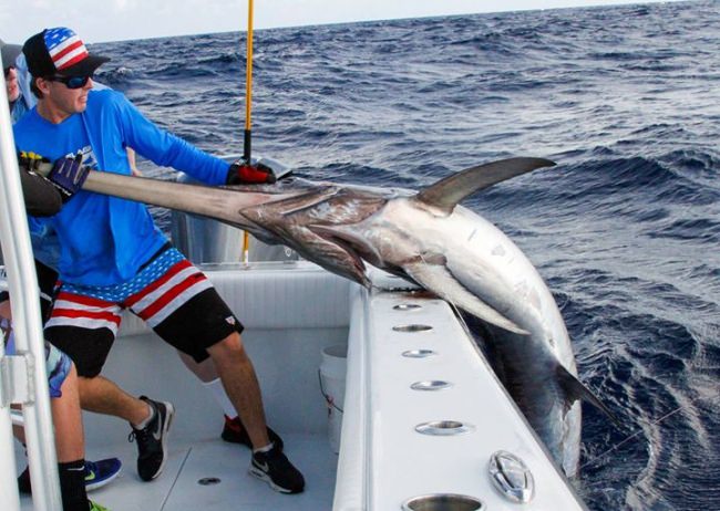 Capt. Nick boating a swordy down in the keys!

#Pelagic | #Fishing | #Swordfish | #Florida | #FinandField