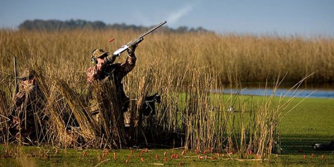 Ducking hunting season is not that far off. Find the best hunting guide in your area at www.finandfield.com. #Hunting #Duck #FindYourNextAdventure #FinandField
