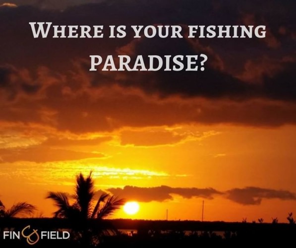 Where is your favorite place to go fishing?

Tell us in the comments below and tag someone you would take there. Can you find it on Fin & Field?

http://bit.ly/2pEqOLA 

#Adventure | #Fishing | #Paradise | #FinAndField