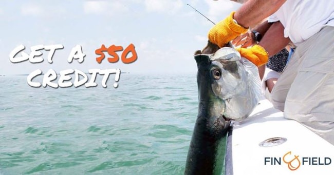 Need some help with the tip on your next fishing charter? We'd be happy to help!    http://bit.ly/2ctkMIj

#FindYourNextAdventure #Fishing #FinandField