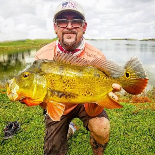 Look at this monster! South Florida Bass Charters sure has a lot of fun. #Fishing #FL #Bass #FinandField