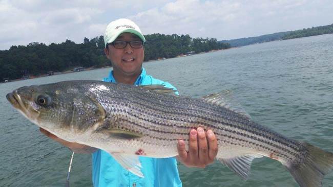 Nothing beats a southern striper! #GA #LakeLanier #Fishing #FinandField