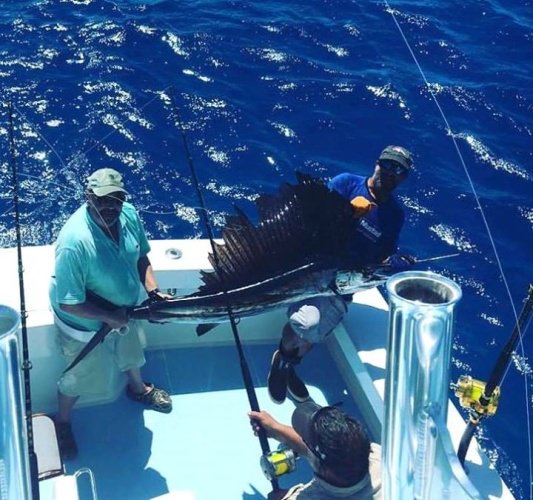 Who wants to go fishing? 5 STAR Sportfishing Charters got this one along with a box full of mahi and wahoo! 

#Fishing | #5STAR | #Mahi | #Wahoo | #FinandField | #MarchMadness