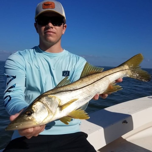 Catch more snook!
.
#snook #snookfishing #fishing #anglerapproved #angler #bestofflorida #floridasportsman #saltwaterfishing #sunday #florida #fishing #fish