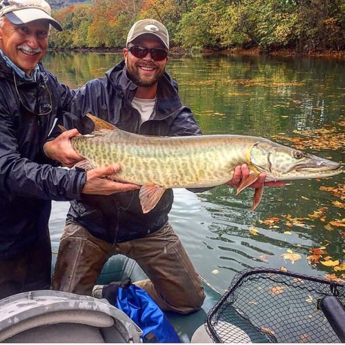 Check out this Musky! 

#Fishing | #FinandField | #DreamBig2016 | #VAisforLovers