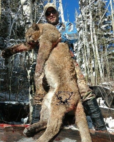 Looking for a big at hunt? Visit www.finandfield.com to find the top guides and outfitters. 

#AlloutOutfitters | #MountainLion | #Hunting | #FinandField