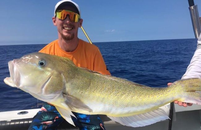 Mixed Bag of Awesome for the crew on Fired Up Fishing Charters! #GoldenTile #Grouper #MahiMahi #FL #FiredUp #Fishing #FinandField