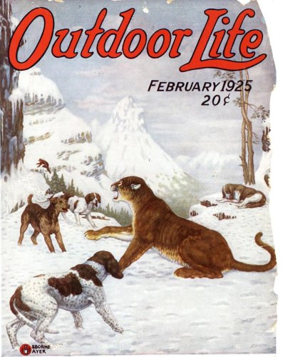What do you think of this vintage Outdoor Life cover? #Hunting #Adventure #Outdoor #FinandField #BigCat
