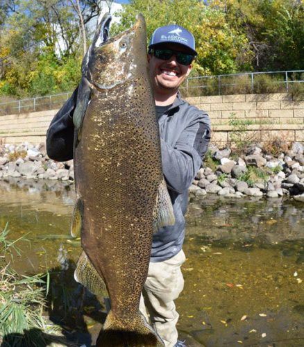 Josh from BlacktipH knows how to catch more than just sharks! BlacktipH travels all over and fishes for everything. You can trust them to recommend the best guides, captains, and outfitters in the BlacktipH Adventure Series on Fin & Field. You can also enter the $5000 Book with the Best Giveaway (http://bit.ly/2xgc1I2) to win a credit that can be used or the trip of a lifetime with any of our endorsed partners.

#FishWithTheBest | #HuntWithTheBest | #BlacktipHSaturdays