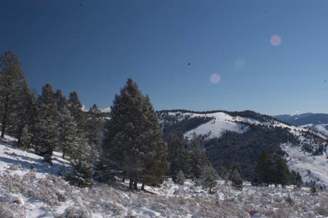 Welcome Stockton Outfitters, LLC! Big Game Outfitter from #Montana. Stockton Outfitters' team of professional guides is ranked nationally and renowned for their ability to aid hunters in attaining their dreams. Spring is the best time to book trips! #BigGame #Hunting #Fishing #FinandField