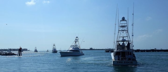 Day 2 of Final Sail saw 47.8# dolphin come to the scales. Flag are flying with 159 sailfish released today and 276 total so far. Bar South holds the overall lead with 18 after releasing 12 sails today. 

Bluewater Movements, Inc. | #Sailfih | #FinalSail | #QuestfortheCrest | #Fishing | #KeyWest | #FinandField