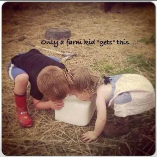 And those kids who had friends on a farm.