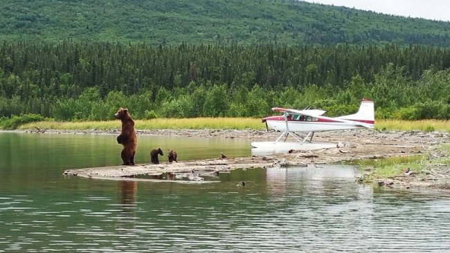 Caption this one! "We are going to be a little late getting home. Problems with "security" and boarding the plane". #Adventure #Fishing #Alaska #FinandField
