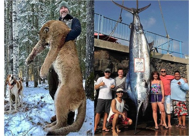 Which one of these big game adventures would you choose? 
#Fishing or #Hunting? | #BigGame | #Adventure | #FinandField