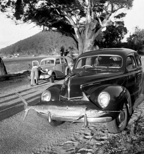 Caption This!
#OldSchool #Fishing #FinandField