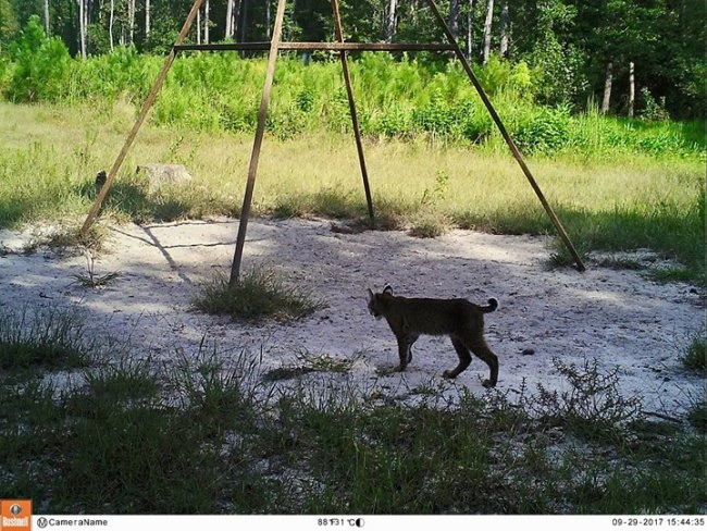 M2E115L219-208R392B382