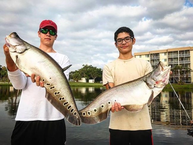 South Florida Bass Charters has decided they don't want to chose between quantity and quality, they'll just go for both. And since they are endorsed by BlacktipH in the BlacktipH Adventure Series on Fin & Field, you know they can do it!

You can win a $5000 booking credit in the $5000 Book with the Best Giveaway (http://bit.ly/2xgc1I2) running on Fin & Field currently.

#FishWithTheBest | #HuntWithTheBest | #Trophy | #kiteFishing| #Giveaway | #BlacktipHSaturdays