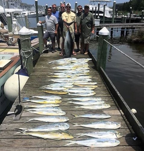 OBX Fishing Report - A-Salt Weapon Sportfishing Charters got plenty and was back earlier. Get in on the action and book a trip today. #Fishing #OBX #ASaltWeapon #FinandField