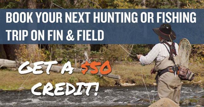 Up for an adventure? 

Find out where to go: http://fieldandstre.am/vPAVcZ