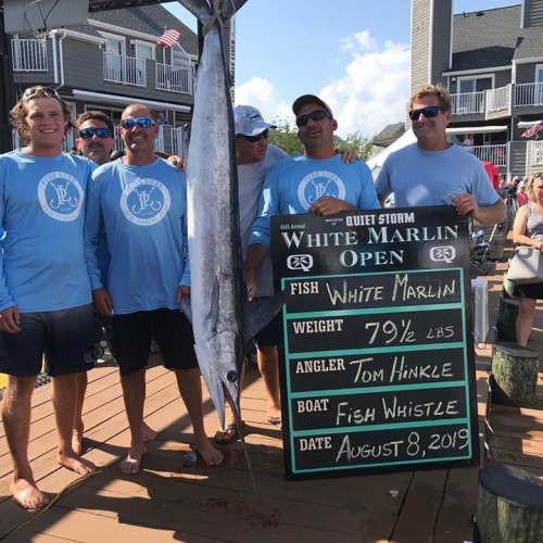 The 2019 White Marlin Open was insane! 
1st repeat Winner - Tommy Hinkle - Won $1,504,000 with 79.5 pounder. The 5th Grade Math Teacher won in 2008 with 81 pounder. 
1st Boat to catch Million Dollar Marlins in the WMO in different years - Backlash Sportfishing 2015 $1.175 Million & 2019 $1.5 Million
$935,000+ Blue Marlin & Tuna for  Haulin n Ballin & Crisdel.  
277.5# Mako Shark on Polarizer won biggest fish. $231,000.  
#MJ & Catch 23 got outscored by 69 other boats.  
#WMO #OceanCity #Maryland #Fishing #Marlin #FinandField #GOAT #MillionDollarMarlin #