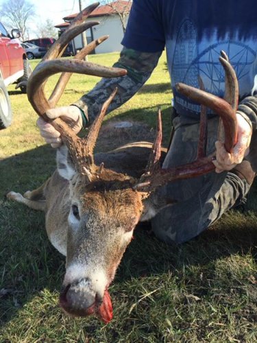 Thanks for all the help guys months after the fact.