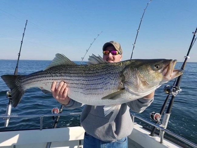 Let's Go Fishing Friday! Big Bubba off Miss Susie Charters. #Rockfish #Adventure #DreamBig2016 #Maryland #FinandField #LGFF