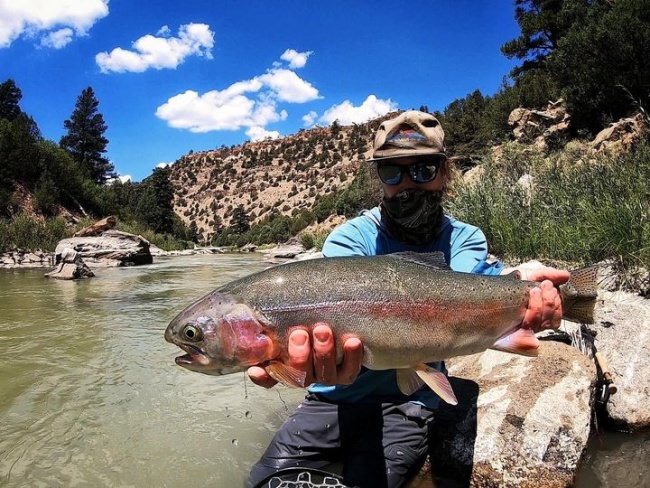 SOMETIMES THE BIG FISH EAT- We have been all over multiple different rivers that we guide on these last few weeks. It has been a challenge to find cold water in the high country depending on the weather, plus the fluctuations of flows released from the Chama tailwaters are always changing, but all the driving and hard work from our guides have paid off with some quality fishing. With some skill and luck on our side we have pulled the rabbit out of the hat and have recently landed some really nice fish. Fall is around the corner and we are ready for the days of colder water and weather.
<•><•><•><•><•>
#flyfishing #catchandrelease #newmexico #colorado #sendit #stoked #loeflyfishing #nature #outside #flyfishchama #flyfishnewmexico #5050onthewater #keepemwet 
@thomasandthomasflyrods 
<•><•><•><•><•>