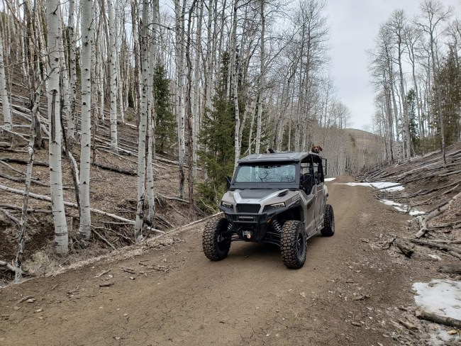 Not to green on the Bookcliffs yet