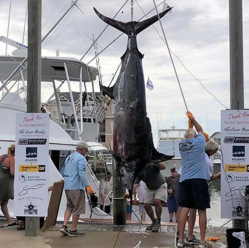 Sea Toy hung a 690+ Blue Marlin day 1 of the Hatteras Village Offshore Open! Catch the live action and updates at www.hvoo.org.

#SeaToy | #Hatteras | #BlueMarlin | #Fishing | #FinandField
