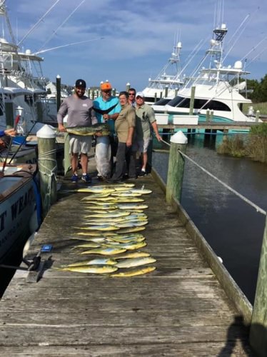 6/16 Tory and group had a great catch of Mahi and a 145 pound Big Eye