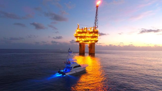 What do you think if this awesome photo from Whoo Dat Sportfishing? #Fishing #Adventure #FinandField