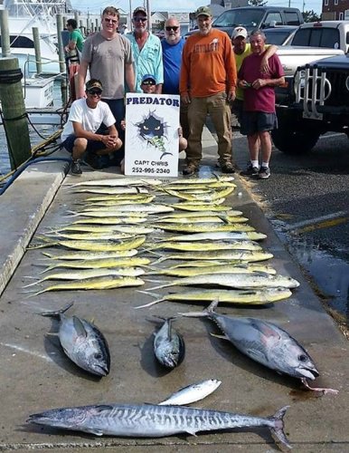 Fishing is picking up in the Outer Banks. Book a Predator Sport Fishing adventure at Fin & Field.

#Fishing | #OBX | #Predator | #FinandField