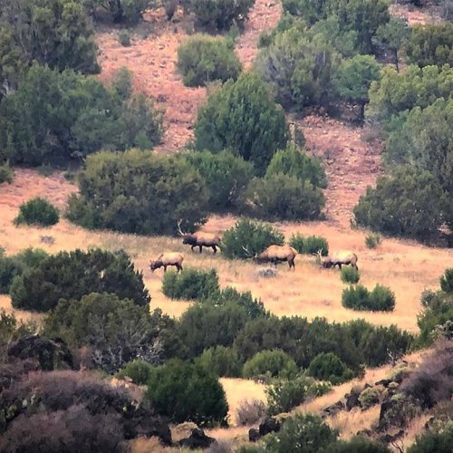 Always looking for the right one! Will any of these work?
#Hunting #Adventure #FinandField