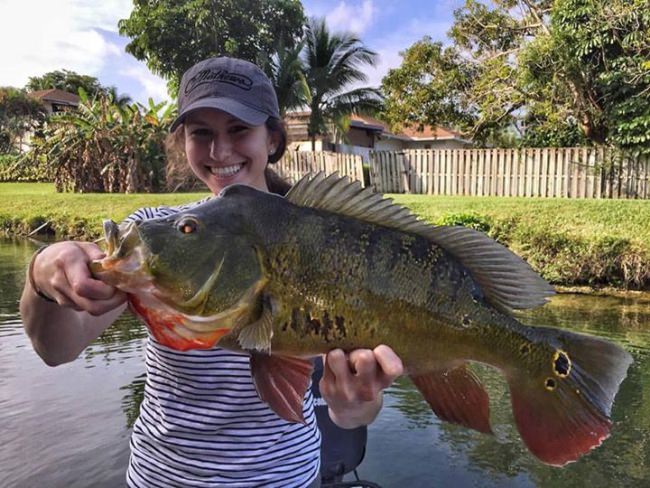 What did you catch over the weekend? Margo got a monster Peacock bass fishing with Shane Procell.

#Fishing | #Florida | #Adventure | #Bass | #FinandField