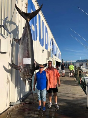 Bravo to Capt. Nick Stanczyk on this monster 757# swordfish! #Fishing #Swordfish #BudandMarys #Adventure #FinandField