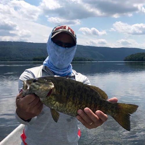 Beautiful barred chunk! #susqguide #keystonesmallies #susquehannariver