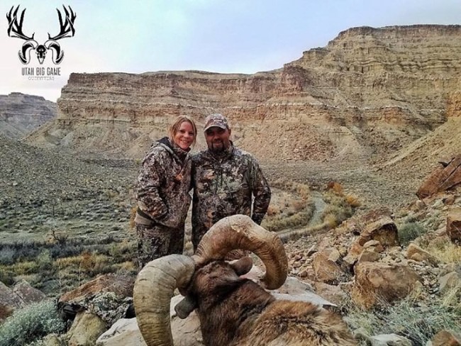 Monster Bighorn Sheep down with Utah Big Game Outfitters. #Hunting #Utah #Bighorn #FinandField