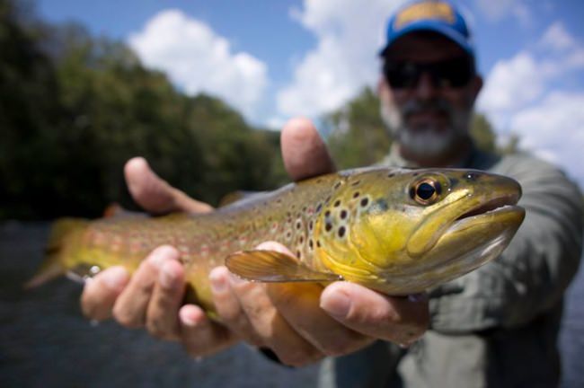 Asheville Fly Fishing Company has had some great fishing lately! They are also an example of the caliber of guides in our Endorsed Partner Series. You can win a $5000 booking credit in our Book with the Best Giveaway http://bit.ly/2xgc1I2 that can be used with any of our endorsed guides, outfitters, and charter boats!

Papa's Pilar | #PapaWouldBeProud | #AdventureSeries | #NeverASpectator | Fly Navarro | #FlyZoneAdventureSeries | BlacktipH | #BlacktipHAdventureSeries | Till Death Do Us Part | #TillDeathAdventureSeries | Daniel Lee Martin | Julie Mcqueen