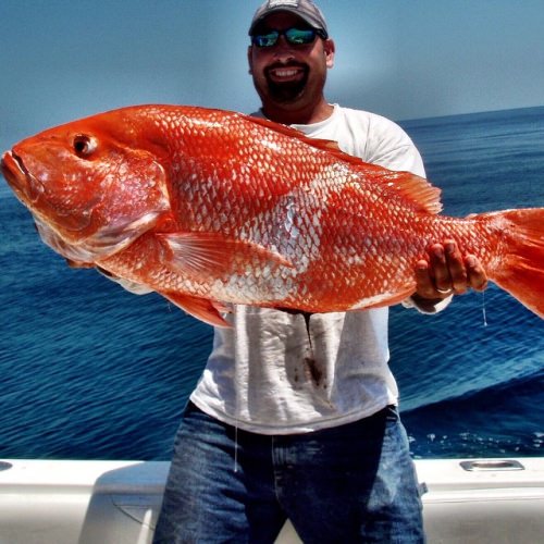 Red Snapper season is coming.  #Fishing #RedSnapper #FinandField