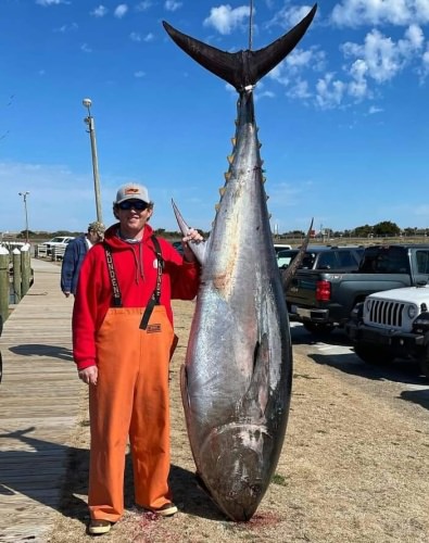 Jake got a 110" 700 pounder with Seaducer Sportfishing out of Oregon Inlet  in NC. #Sportfishing #OBX #BFT