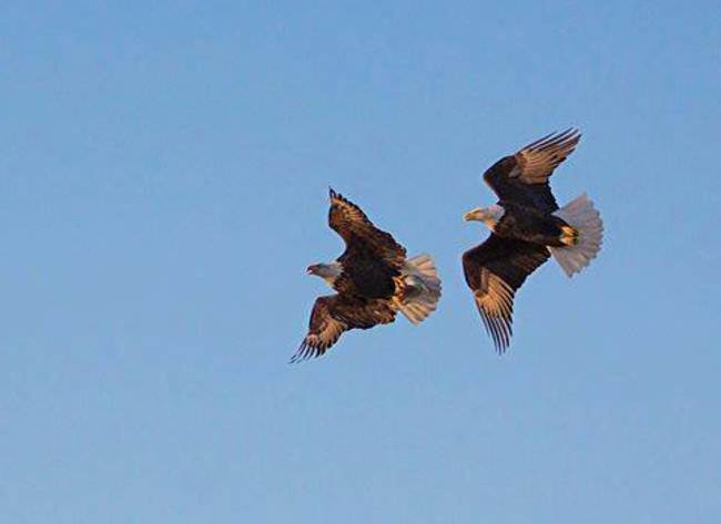 How cool is this? #MotherNature #Adventure #FinandField