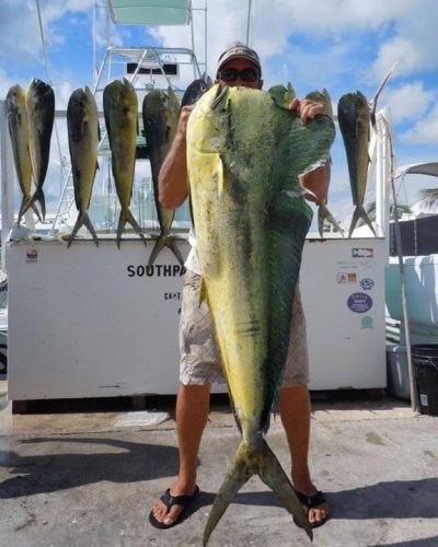 Southpaw Fishing Key West (http://bit.ly/2nk7DSB) is full of BULL!