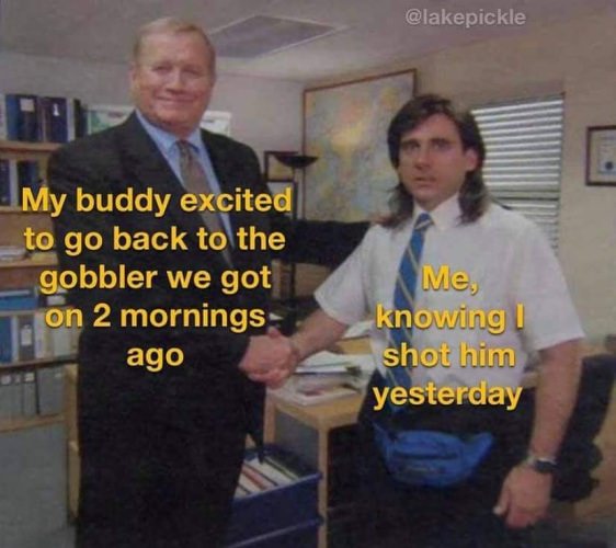 Tuesday trepidation........