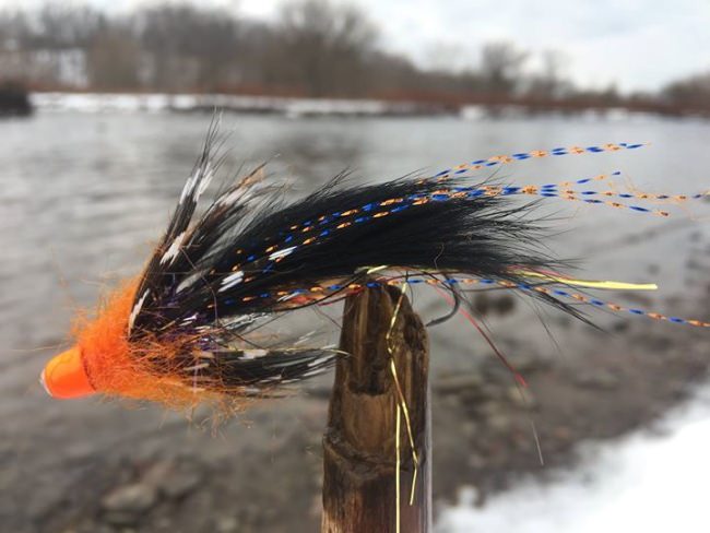 The steelhead fishing on the Douglaston Salmon Run in upstate New York is hot even when the weather is cold. Anglers have been braving the conditions to pull on some chrome. This private stretch of the Salmon River is the perfect place to wet a line, but you might want to wait until after the current storm (and the 20-30 mph winds that it will bring). Check out their pricing, availability, and don't hesitate to contact them with any questions....http://bit.ly/2lXzonk
#DouglastonSalmonRun | #SalmonRiver | #Pulaski | #Steelhead | #Adventure | #FinAndField