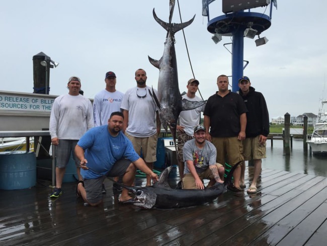 Game Changer Sportfishing has great trip! Wish it was in the Big Fish Classic at Talbot Street Pier