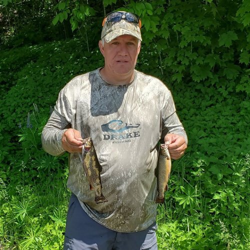 Couple  brook trout this morning.